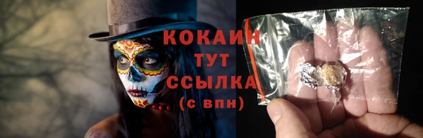 мяу мяу мука Магадан