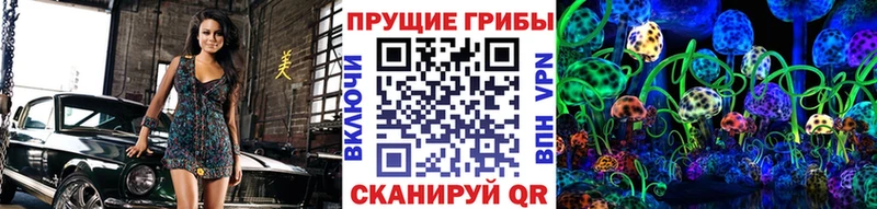 как найти закладки Солигалич Псилоцибиновые грибы Psilocybe
